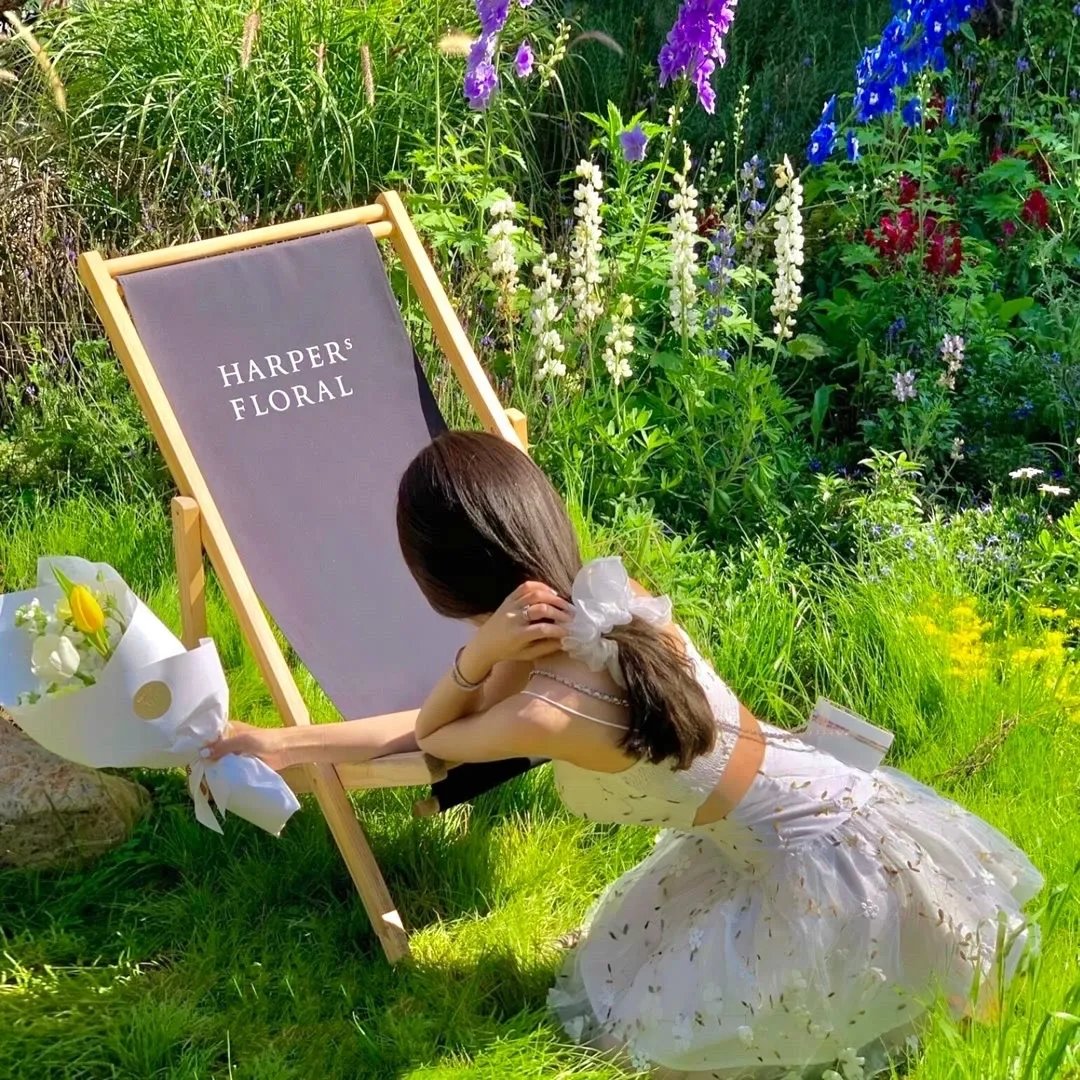 燕南飞，燕难归